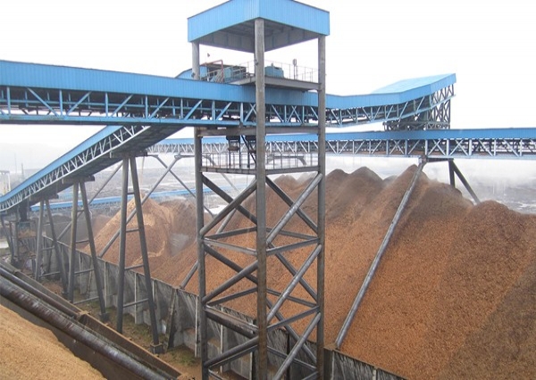 用户现场-仓储/料仓/行走螺旋/栈桥